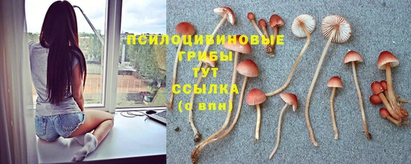 молекула духа Заволжск