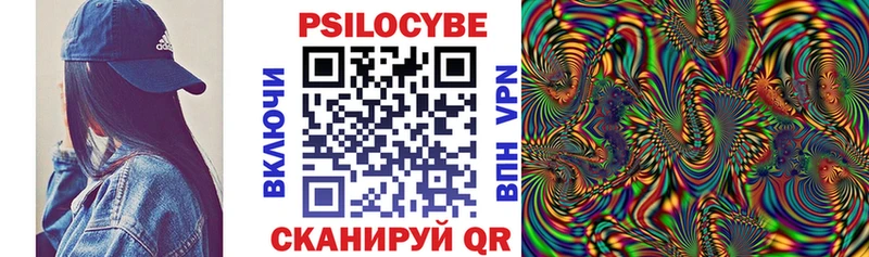 Псилоцибиновые грибы Cubensis  Купить закладки  Балей 